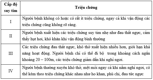 Suy tim được chia làm 4 cấp độ